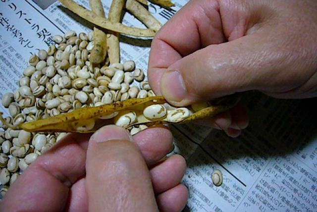 Foto: Curtindo o Japão/blog