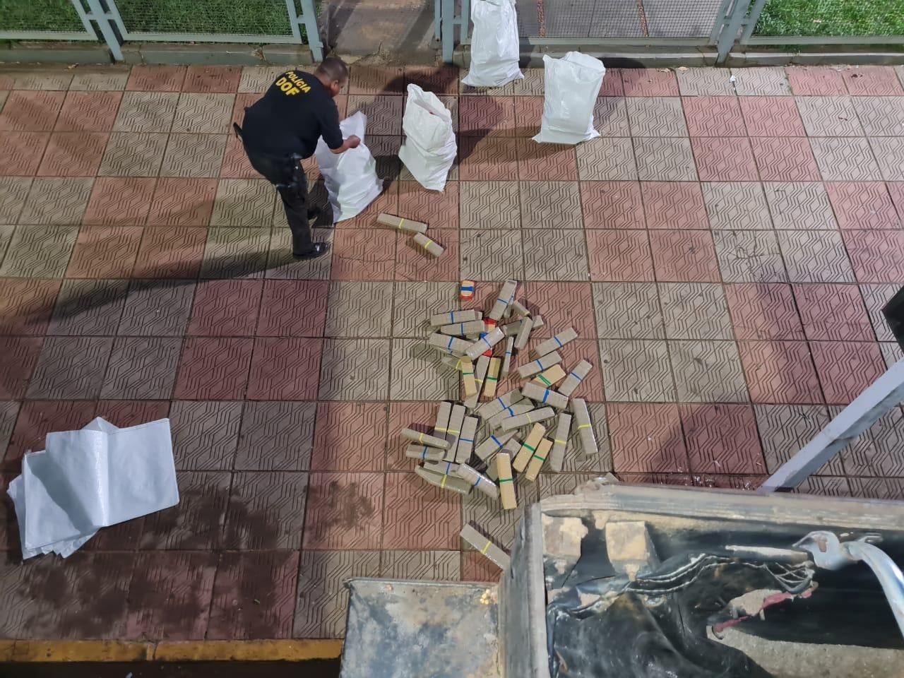 Ao todo foram apreendidos 809 quilos de maconha. Foto: Divulgação/ DOF.