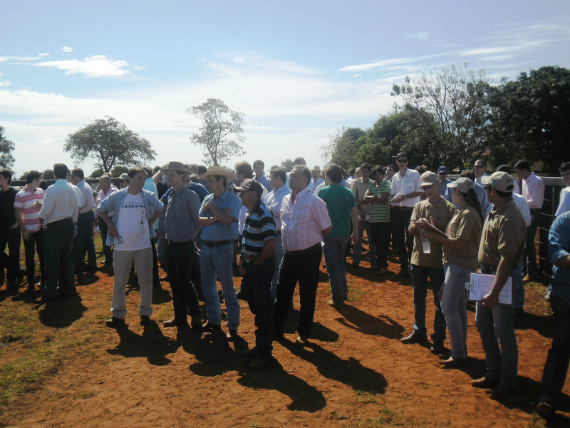 Pela primeira vez no Mato Grosso do Sul foi apresentado reservas de touros, todos com avaliação genômica.Foto:Assessoria