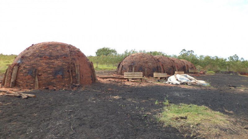 O proprietário da carvoaria foi autuado e multado em R$ 1.500.Foto: Assessoria 