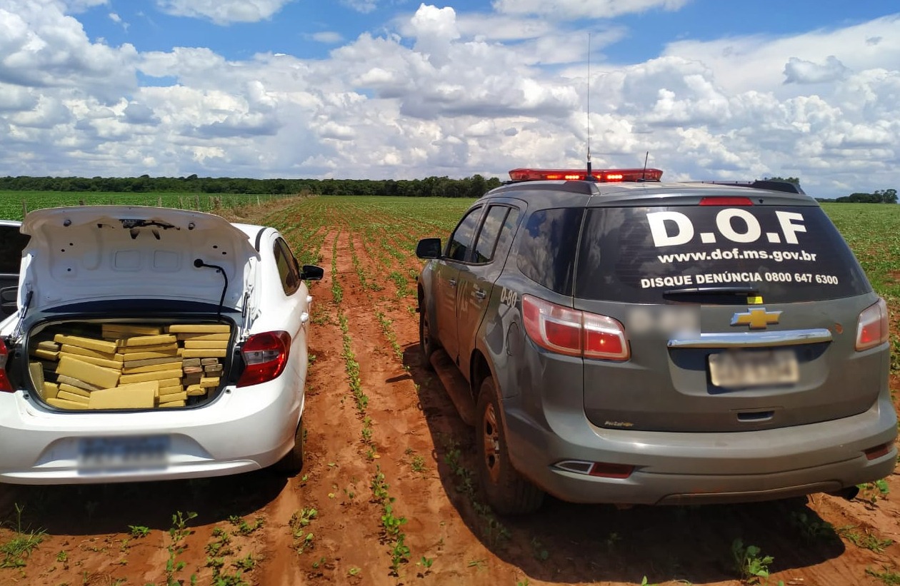 Foto: Informações da Comunicação do DOF.