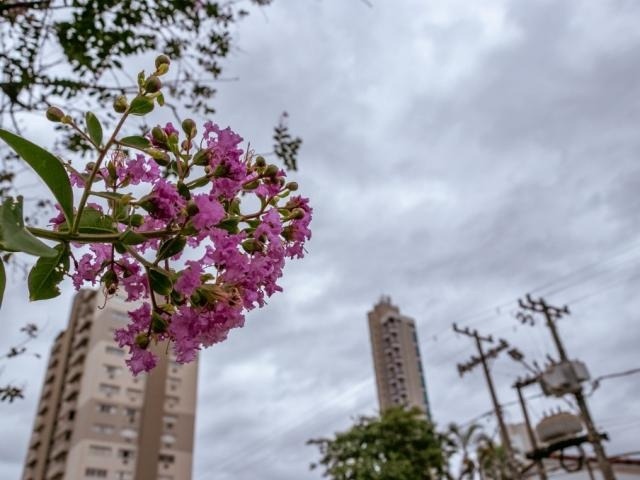 Céu nublado em Campo Grande nesta quarta-feira. (Foto: Henrique Kawaminami)