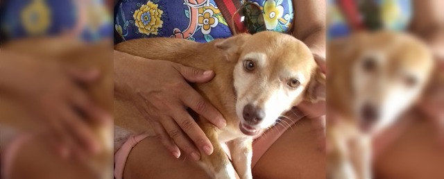 Menino está sumido desde a terça-feira (7). Foto:: Arquivo pessoal.