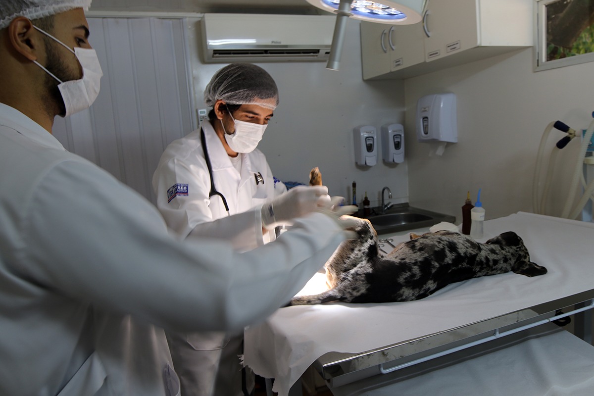 Foto: Informações da Comunicação Social da Prefeitura.