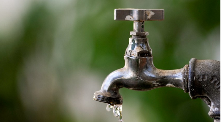 Foto: Reprodução///agencia senado - Pedro França