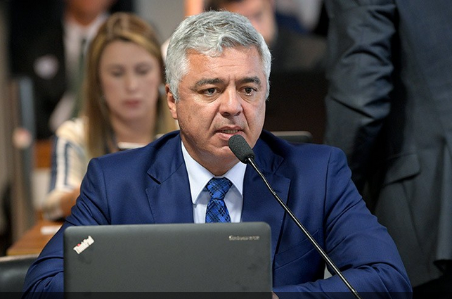 Foto:Marjor Olímpio apresentou o projeto -  Pedro França/Agência Senado / Reprodução