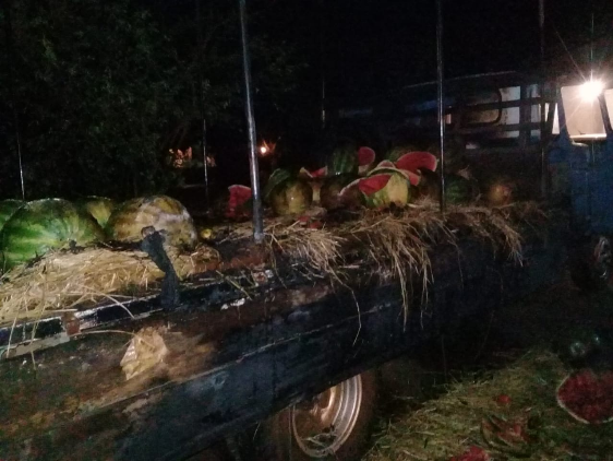 Foto: Alfredo Netto - Radio Caçula FM 96,9