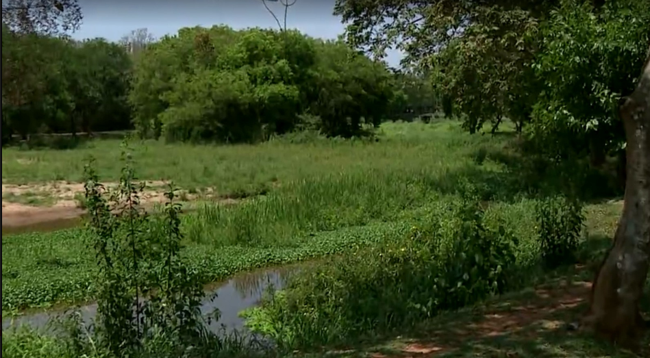 Foto: Imagem meramente ilustrativa /// Reprodução - Paulínia Online