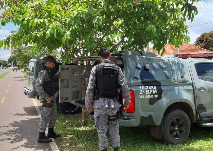 Ao realizar patrulhamento, os policiais surpreenderam o autor quando tentava vender a droga para um usuário. Foto: Polícia Militar.