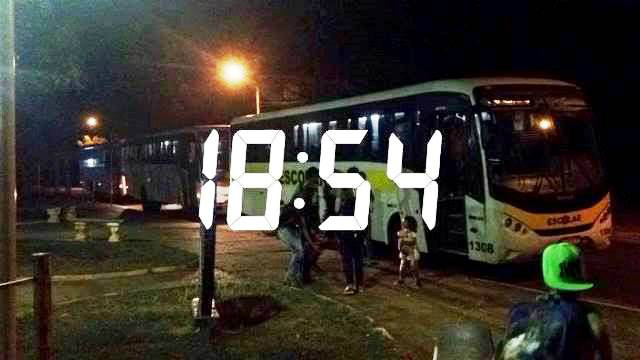 Foto de arapuams