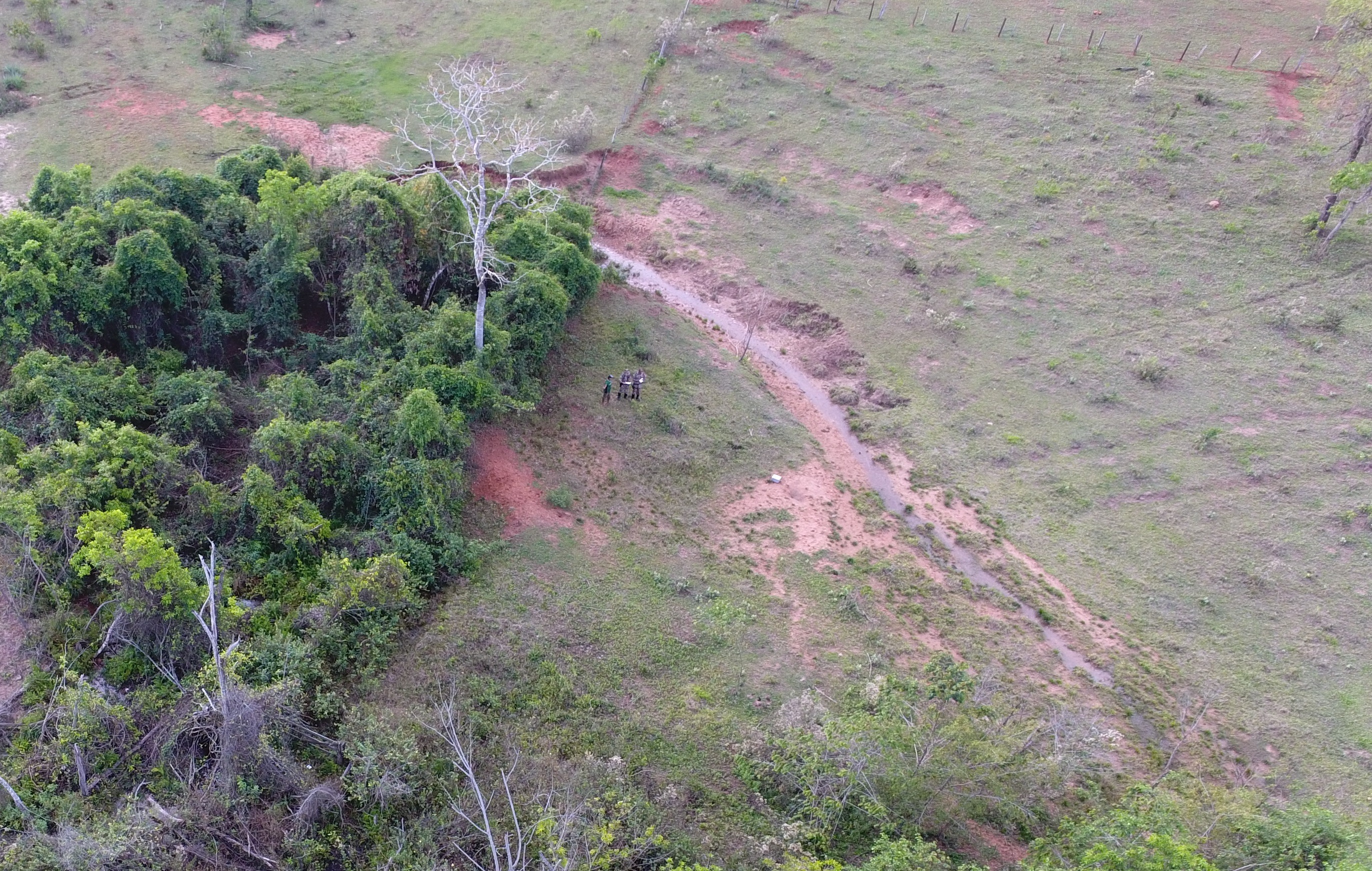 Operação Cervo-do-Pantanal é realizada para combater desmate ilegal - Foto: Foto: Divulgação / PMA