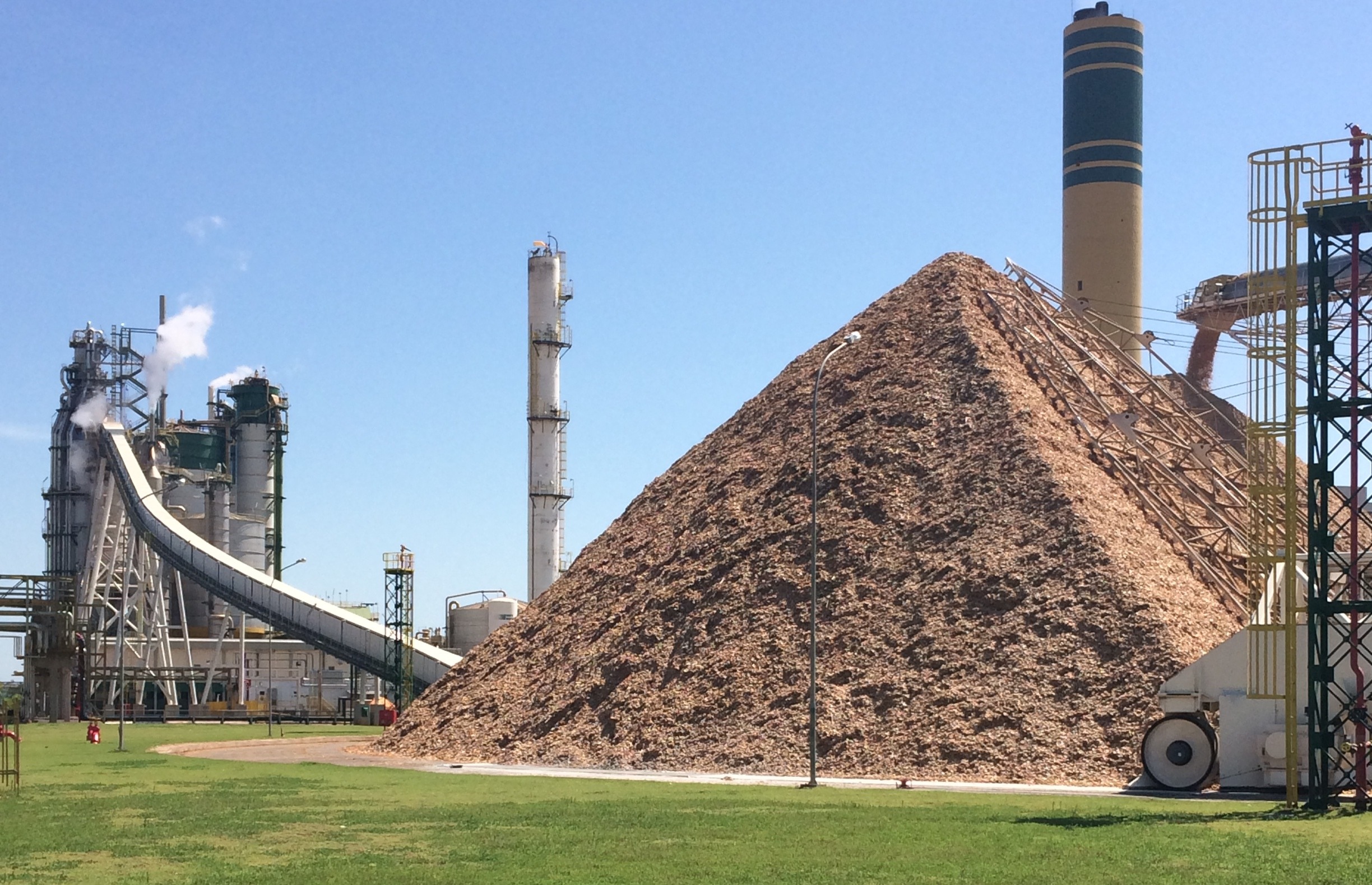 Restos de eucalipto, como cavaco de madeira, serão usados na geração de energia elétrica da primeira termelétrica de MS - Foto: Divulgação