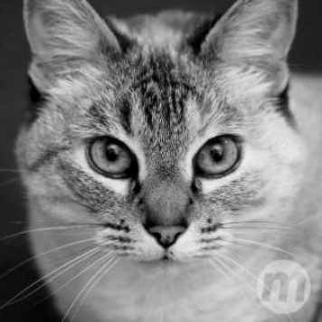 Thatiana Melo/ Foto: ilustrativa