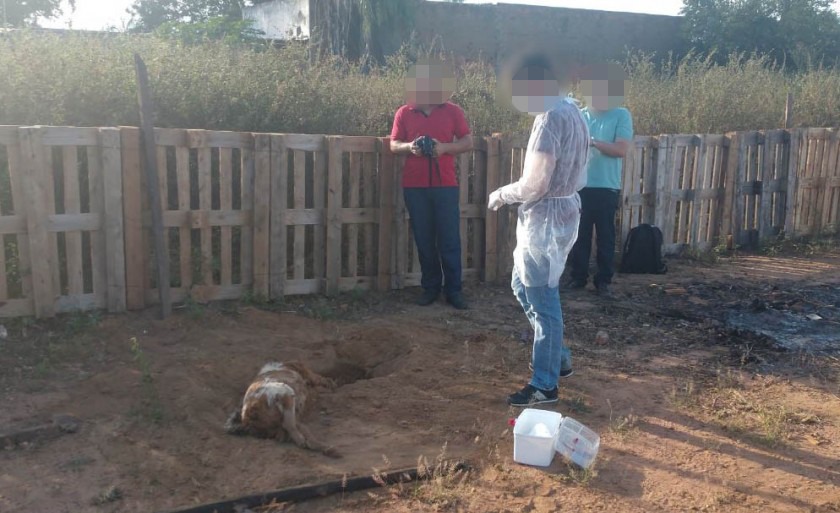 Foto: Divulgação Polícia Civil 