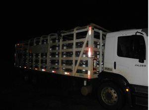 Carga perigosa estava ilegal (Foto: Divulgação/PMA)