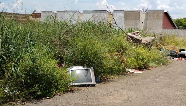 Mato alto e lixo preocupam moradores - Fotos: Arquivo Pessoal