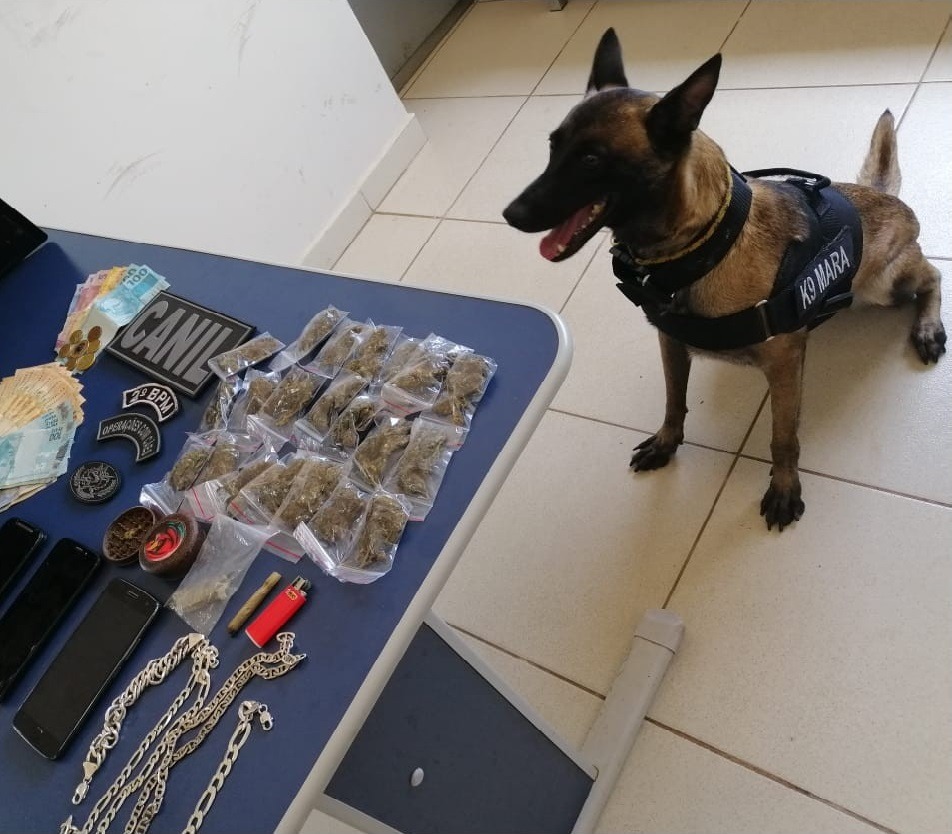 No local, a cachorra K9 Mara mudou o comportamento, indicando a presença de entorpecente em um veículo VW Gol que estava estacionado. Foto: Polícia Militar.