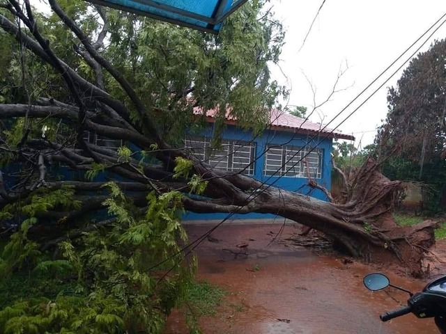 Foto: Margareth Lopes / Reprodução - Facebook
