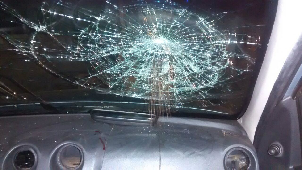 Créditos: Alvarez Junior 