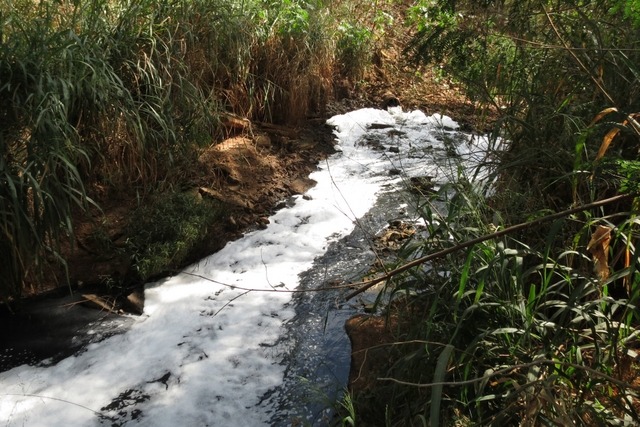 Córrego, além de poluído, está em estágio avançado de assoreamento - Foto: Divulgação