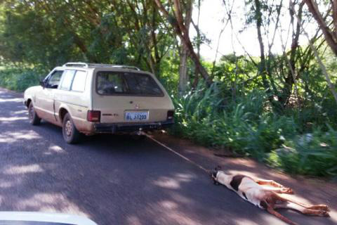 Créditos: Correio do Estado 