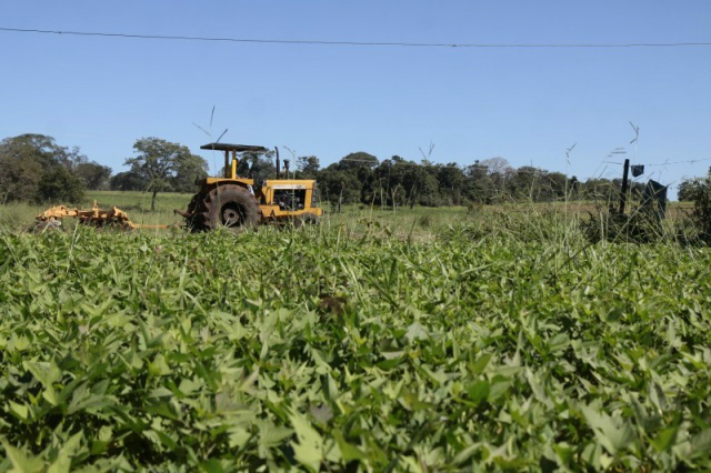 Foto: Campo Grande News