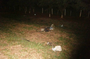 O ciclista teve as pernas mutiladas e morreu no local (Foto: Jornal da Nova)