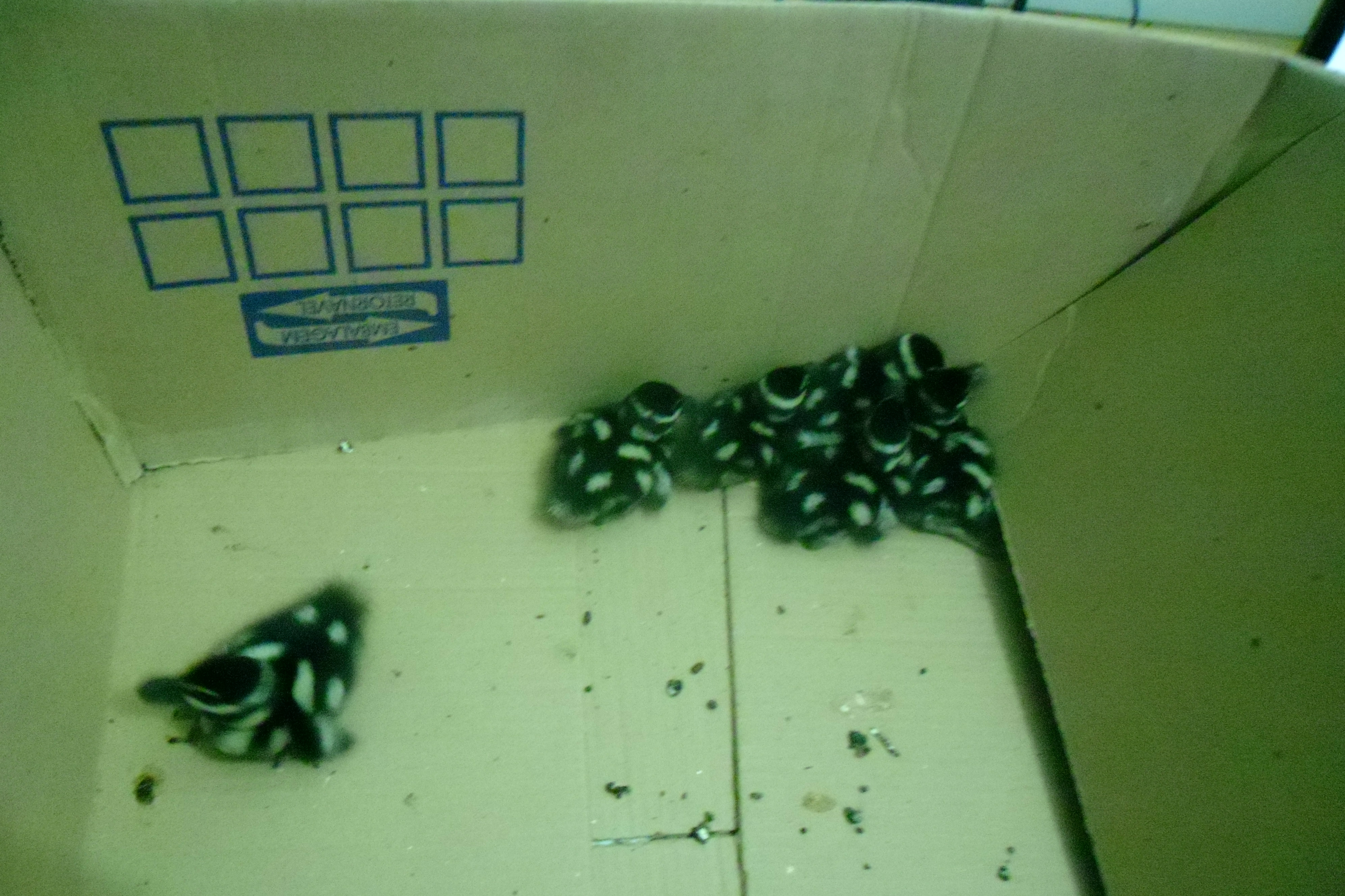 Créditos: Assessoria de Imprensa 