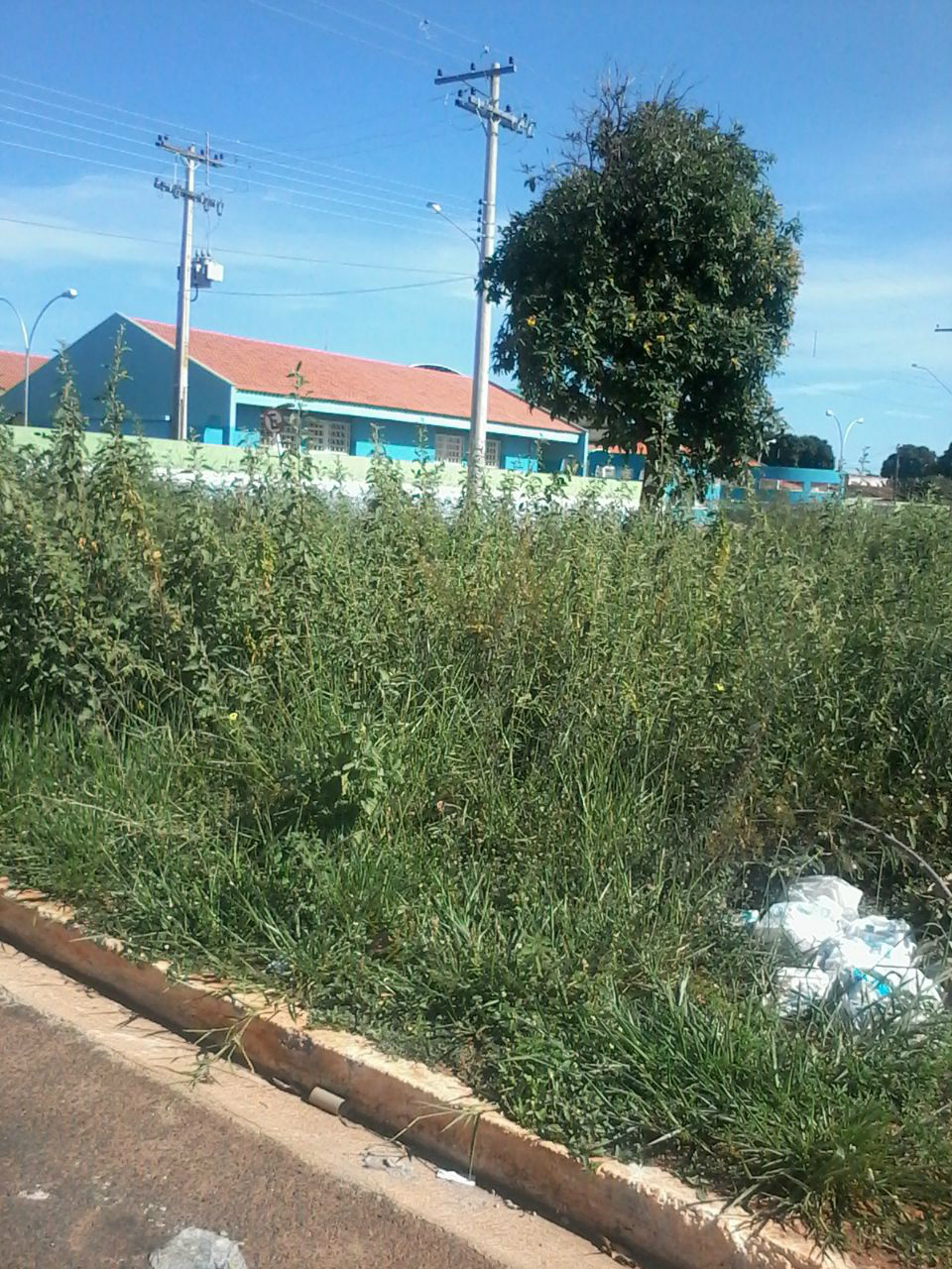 Créditos: Pereira Neto 