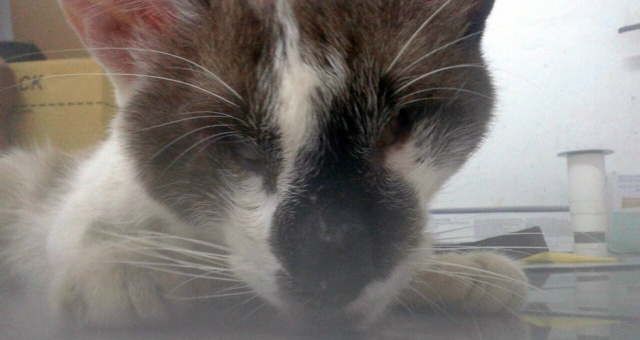 (Foto: Divulgação/ Arquivo pessoal).