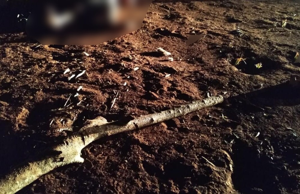 Foto: Site Rio Brilhante em Tempo Real