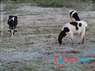 Geada em Amambai (Reproduçâo/AgazetaNews)