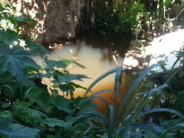 Material é jogado no rio Paraná depois do tratamento.Foto: Facebook Arquivo