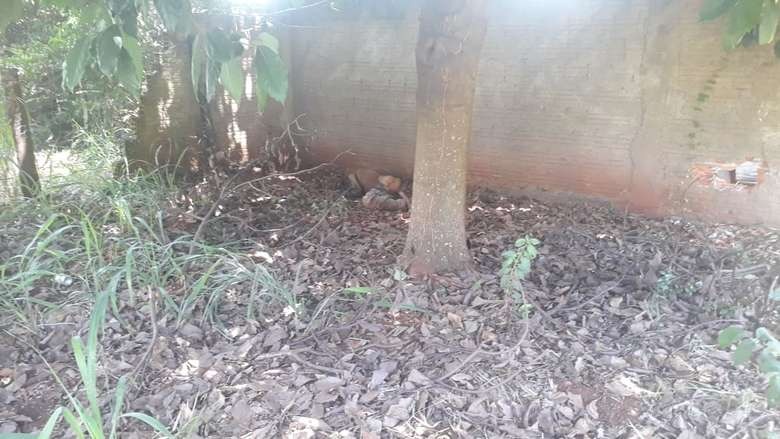 Foto: Dourados News.