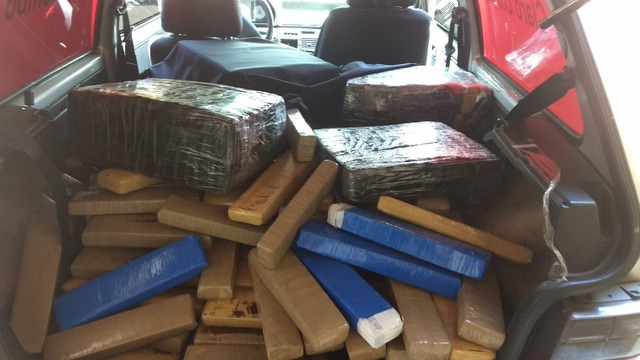 Drogas apreendidas nesta quarta-feira (29). Foto: Polícia Militar