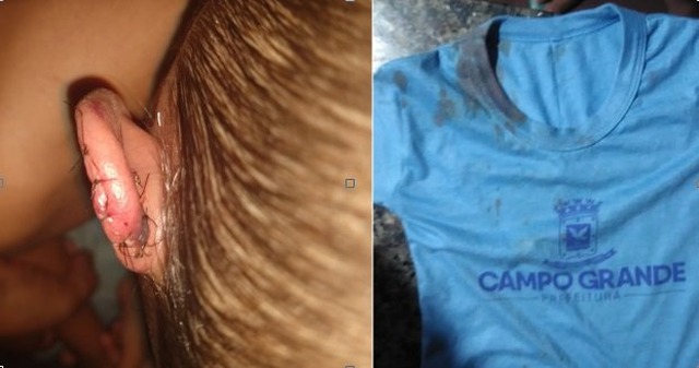 A mãe conta que possui laudo médico afirmando que a orelha da criança foi cortada com objeto cortante (Via WhatsApp)