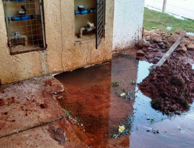 (Fotos: Divulgação).