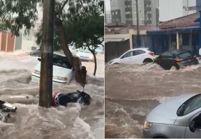 Carros sendo arrastados pela enxurrada em Bauru. Foto: Arquivo Pessoal