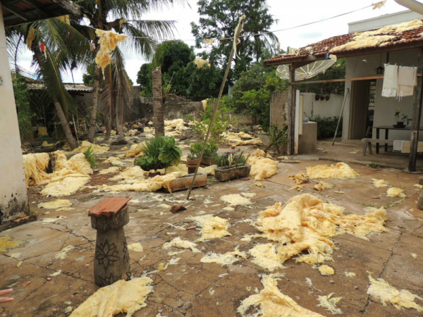 Casa de idosa ficou tomada por lã de vidro depois de telhas do Ginásio serem arrancadas com a força do vento.