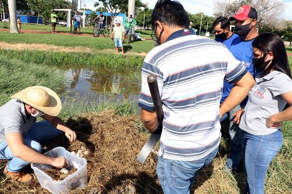 Imagem: Secretaria Municipal de Meio Ambiente e Agronegócio (SEMEA) da Prefeitura de Três Lagoas