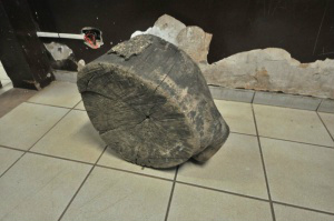 Polícia recolheu tronco de árvore usado por agressores de Diogo. (Foto:Marcelo Calazans)