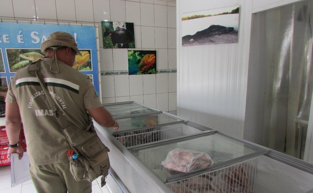 Pesque e Solte não afeta a piracema - Foto: Divulgação/Semagro