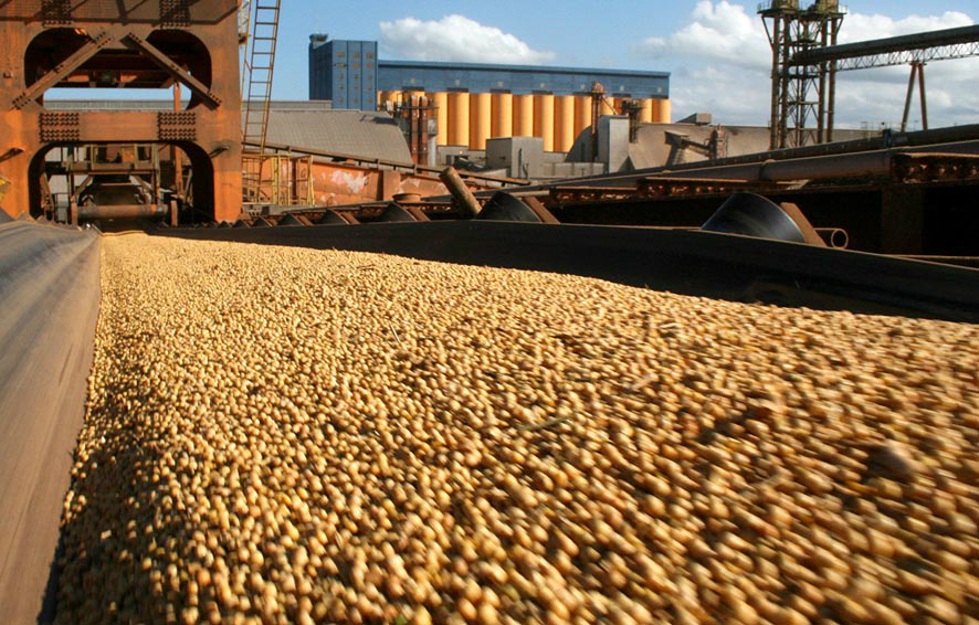 Em Mato Grosso do Sul, o agronegócio representa 16,6% do Produto Interno Bruto (PIB).Foto: Divulgação 