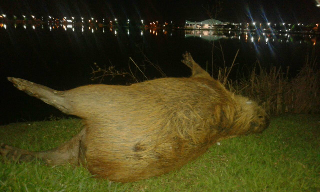 Fotos: Rádio Caçula