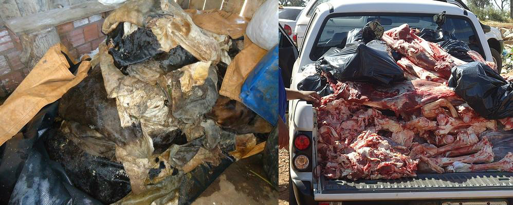 Carne apreendida nos estabelecimentosFoto: Divulgação