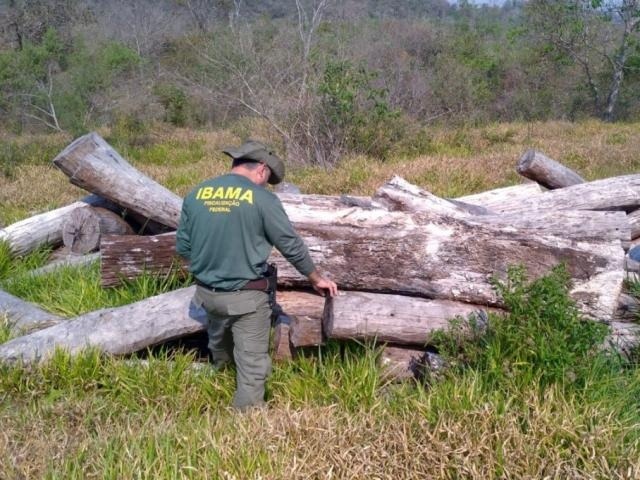Ibama aplicou 34 multas com valor superior a R$ 1 milhão em 25 anos no Estado (Foto: Divulgação/Ibama)