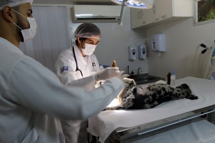 IMAGEM: Secretaria Municipal de Saúde (SMS) de Três Lagoas