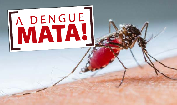 Imagem // Reprodução Prefeitura Lorena