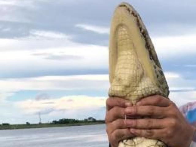 Parte da foto que foi postada pelo jovem nas redes sociais. (Foto: Divulgação/PMA)