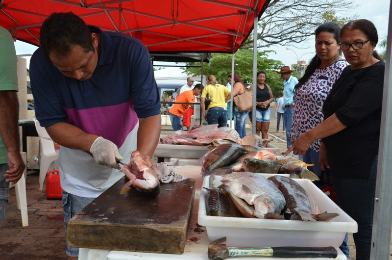 3ª Edição da Feira do Peixe